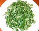 Foto del paso 1 de la receta: Ensalada de canónigos con vinagreta de tomate y tomillo