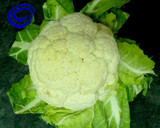 Foto del paso 1 de la receta: Coliflor con morcilla