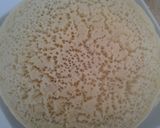 Foto del paso 6 de la receta: Crepe mil agujeros (bagher Marruecos)