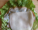 Foto del paso 4 de la receta: Rollitos de lechuga, jamón y queso