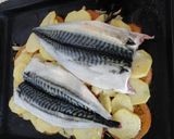 Foto del paso 6 de la receta: Xardas o caballas al horno con patatas y tomates