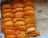 Foto del paso 7 de la receta: Pastel merengado de albaricoques