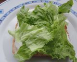 Foto del paso 2 de la receta: Sándwich liviano