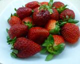 A picture of step 5 of Mint-Flavored Chocolate-Covered Strawberries.