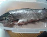 Foto del paso 1 de la receta: Trucha asalmonada con ibéricos al cava