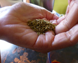 Foto del paso 2 de la receta: Mojo canario rápido