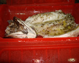 Foto del paso 4 de la receta: Lubina a la papillote en microondas