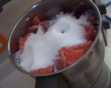 Foto del paso 4 de la receta: Helado de sandía Thermomix