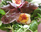 Foto del paso 2 de la receta: Ensalada de brotes y huevos con sal de jamón serrano