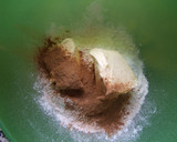 Foto del paso 6 de la receta: Tarta de dos ciruelas