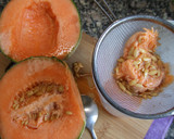 Foto del paso 1 de la receta: Helado de melón cantalupo