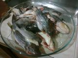 Bagres de río fritos
