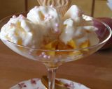Foto del paso 6 de la receta: Mango fresco con helado nieve