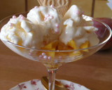Foto del paso 6 de la receta: Mango fresco con helado nieve