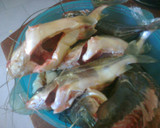 Foto del paso 5 de la receta: Sopa de bagre (pescados)