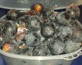 Foto del paso 1 de la receta: Mermelada de higos negros
