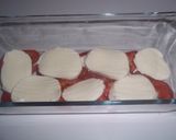 Foto del paso 4 de la receta: Cien hojas de jamón serrano y tomate