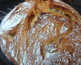 Foto del paso 9 de la receta: Pan cocido en cazuela o cocotte