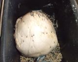 Foto del paso 2 de la receta: Ciabata con sésamo en panificadora