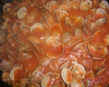 Foto del paso 5 de la receta: Almejas a la marinera picantitas