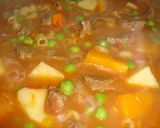 Foto del paso 9 de la receta: Guiso carrero