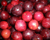 Foto del paso 1 de la receta: Mermelada de ciruelas rojas