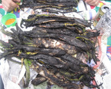 Foto del paso 3 de la receta: Salsa romesco o salsa calçots