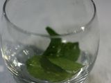 Non-Alcoholic Mojito