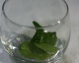 Hình bước làm 1 của món Non-Alcoholic Mojito
