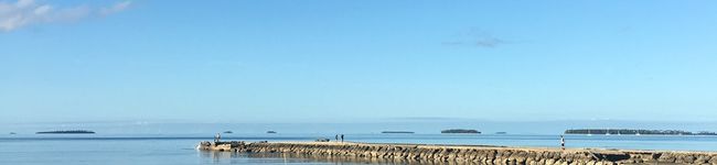 TOOTS's header image