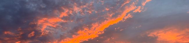 Nata_Kalina's header image