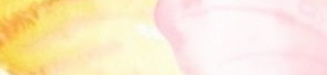 Sophiee's header image
