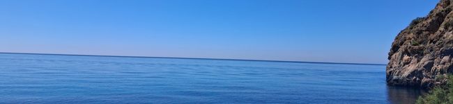 Yuyu Gómez 's header image