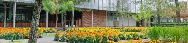 ภาพปกโพรไฟล์ของ Eka Nurvidianti