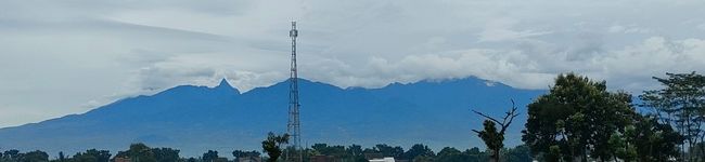 Arifiati's header image