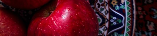 Faezeh's header image