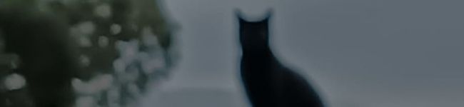Imagen de portada de Cat.V