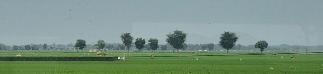 Sari's Kitchen's header image