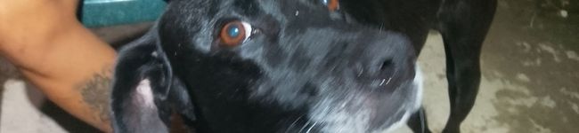 Imagen de portada de joaqui <3
