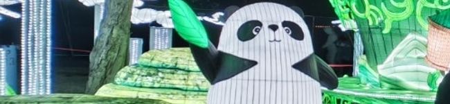 Imagen de portada de Buba