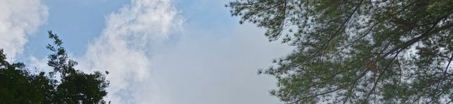 Imagen de portada de DiYos Nie