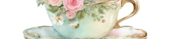 Imagen de portada de cook_107932828lia Mainz