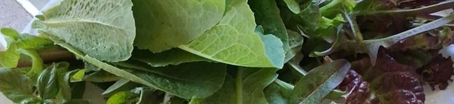 Chef Mommy Nessa's header image