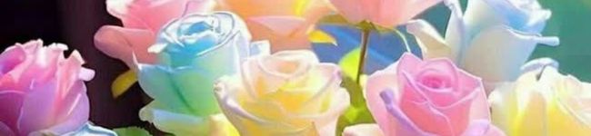 🌟Mahta🌟's header image