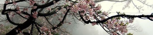 Al ♡'s header image