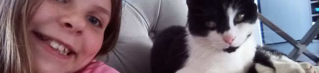 Libwhipp's header image