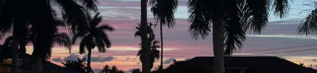 Skyy Shortall's header image
