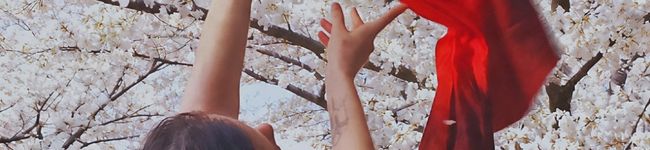 Anastasiia Shen 🈸's header image