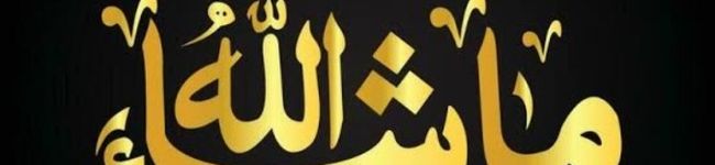 Sheeba Mughal Pathan's header image