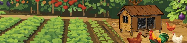 Healthy Punjab Starts Here! (JICA MSNA, Punjab)'s header image